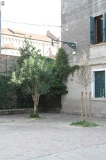 Enlarge photo 94