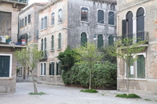 Enlarge photo 95