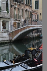 Enlarge photo 132
