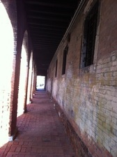 Enlarge photo 154