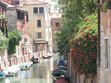 Enlarge photo 72