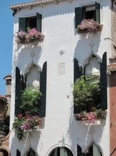 Enlarge photo 78
