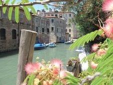 Enlarge photo 91