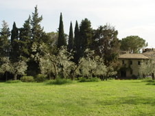 Enlarge photo 96