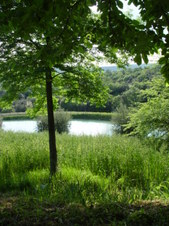 Enlarge photo 97