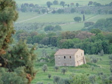 Enlarge photo 100