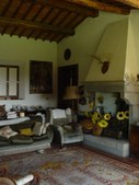 Enlarge photo 53