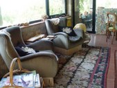 Enlarge photo 55
