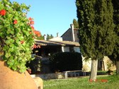 Enlarge photo 16