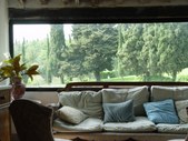 Enlarge photo 60
