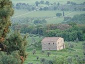 Enlarge photo 32