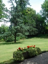 Enlarge photo 23