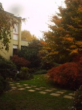 Enlarge photo 25