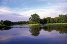Enlarge photo 31