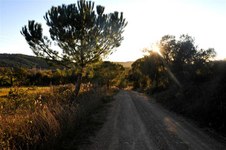 Enlarge photo 18