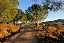 Enlarge photo 19