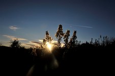 Enlarge photo 23
