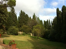 Enlarge photo 22