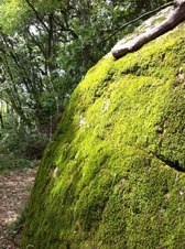 Enlarge photo 36