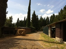 Enlarge photo 37