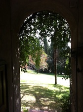 Enlarge photo 39