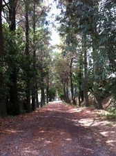 Enlarge photo 12