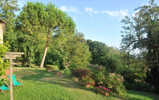Enlarge photo 43