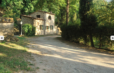 Enlarge photo 45