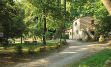 Enlarge photo 48