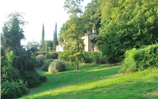 Enlarge photo 49