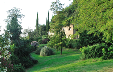 Enlarge photo 50
