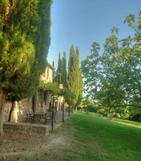 Enlarge photo 51