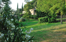 Enlarge photo 52