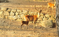Enlarge photo 55