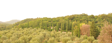 Enlarge photo 58