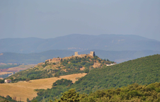 Enlarge photo 64
