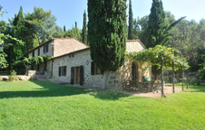 Enlarge photo 65