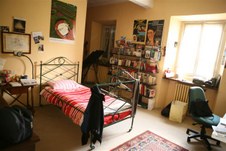 Enlarge photo 30