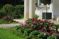 Enlarge photo 4