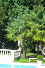 Enlarge photo 17