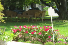 Enlarge photo 32