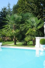 Enlarge photo 56