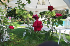 Enlarge photo 59