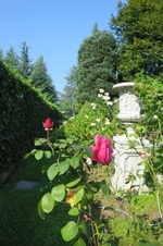 Enlarge photo 60