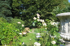 Enlarge photo 61