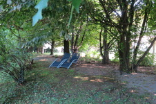 Enlarge photo 64