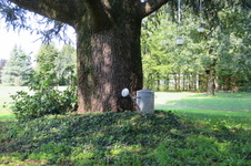 Enlarge photo 71