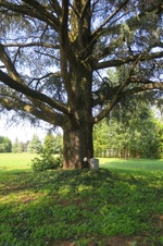 Enlarge photo 72