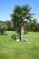 Enlarge photo 73