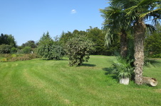 Enlarge photo 74